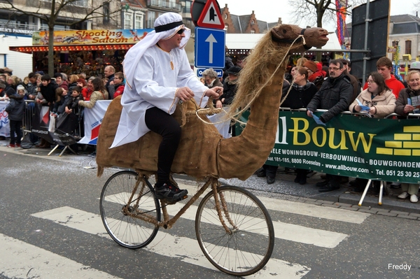 Qatar- De Pekkers-Zwevezele