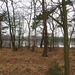 2013-03- 03 Zoersel 024