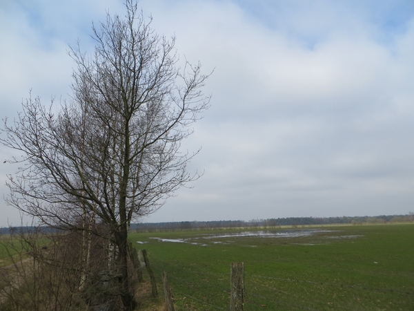 2013-03- 03 Zoersel 025