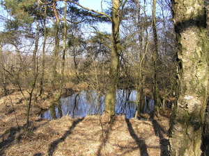 P3040035