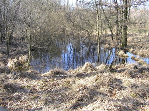 P3040033