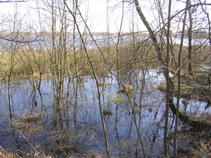 P3040036