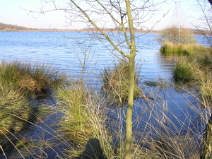 P3040039