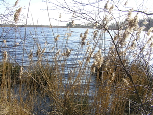 P3040040