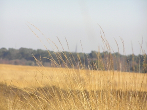 P3040056