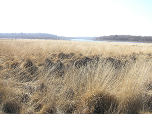 P3040057