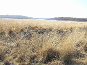 P3040058