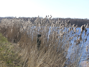 P3040074