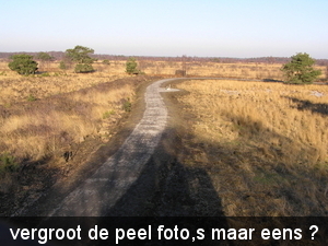 P3040081