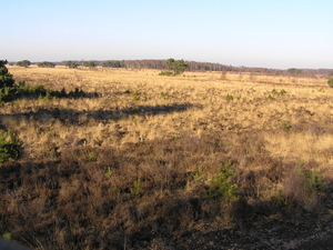 P3040084