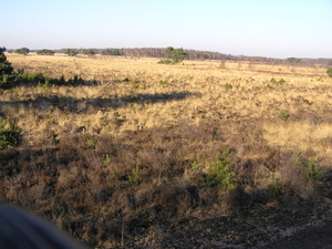 P3040085