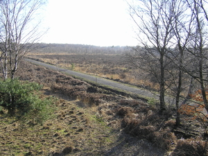 P3040086