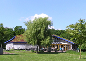 P6040024