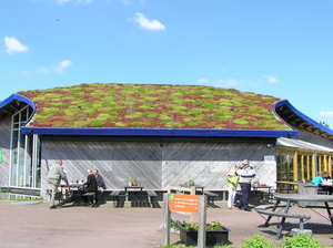 P6040019