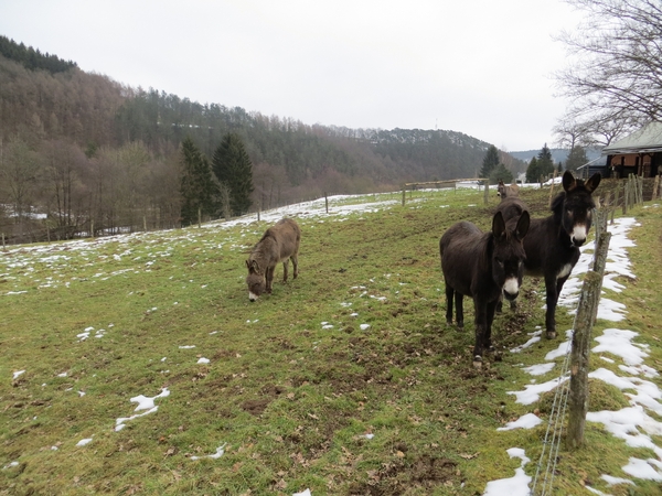 aviat troi-pont 2013 028