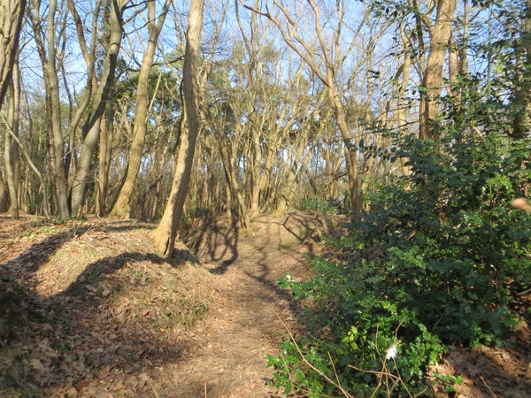 2013-03- 05 Betekom 019