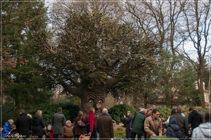 De sprekende boom  Efteling 26 december  (230)