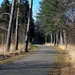 bokrijk