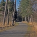 bokrijk kopie