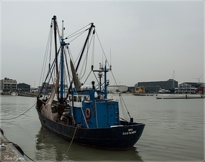 Zeebrugge -522 (33)