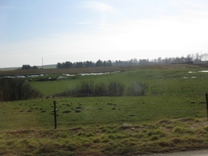 Maredsous 2013 083