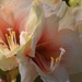038