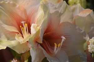 038