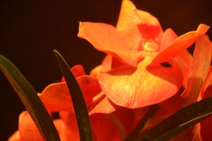 042