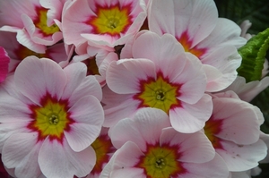 017