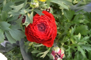 018