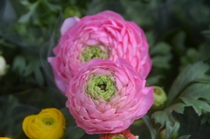 019