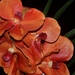 028