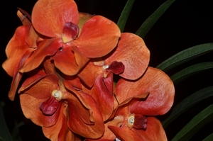 028