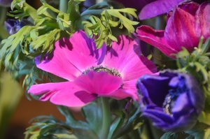 036