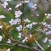 052