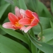 025