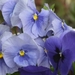 029