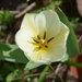029