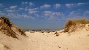 2009 a 39 Portugal Tavira Praia de Barril _0011