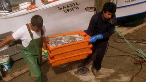 2009 a 55 Portugal Alentejo Porto de Pesca da Azenhado Mar_0005