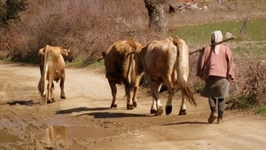 2009 a 7 Portugal Rabal _0004