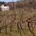 2009 a 85 Portugal Alvao Gebergte Minho Wijn Vinho Verde ( Minho