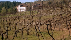 2009 a 85 Portugal Alvao Gebergte Minho Wijn Vinho Verde ( Minho