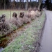 knotten