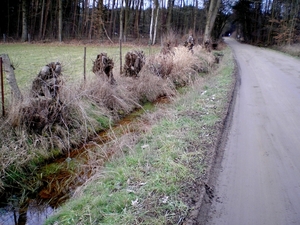 knotten