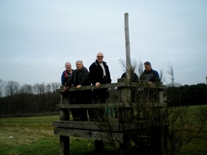 als de haag bladeren heeft