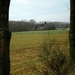 we onze schreden