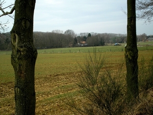 we onze schreden