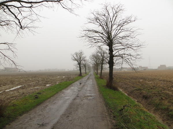 2013-03-09 Ledegem 011