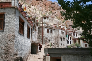 Hemis
